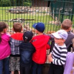les animaux