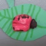 coccinelle, demoiselle...